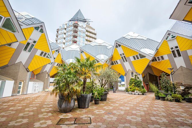 Explore the Instaworthy Spots of Rotterdam with a Local - Why Choose This Tour?