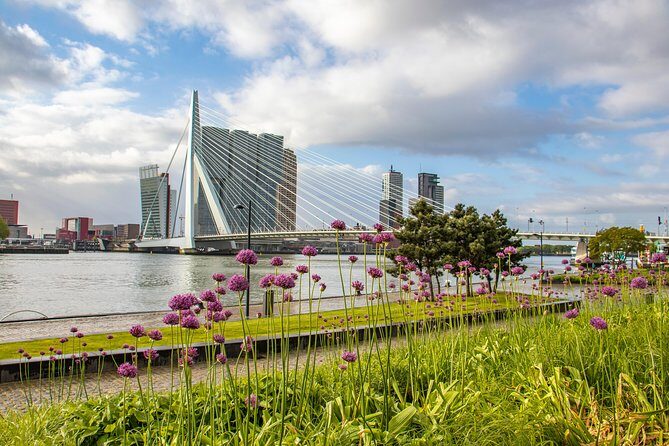 Explore the Instaworthy Spots of Rotterdam with a Local - FAQ