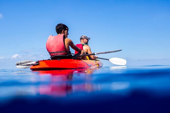 Explore the Island Dragonera by Kayak - Positive Feedback