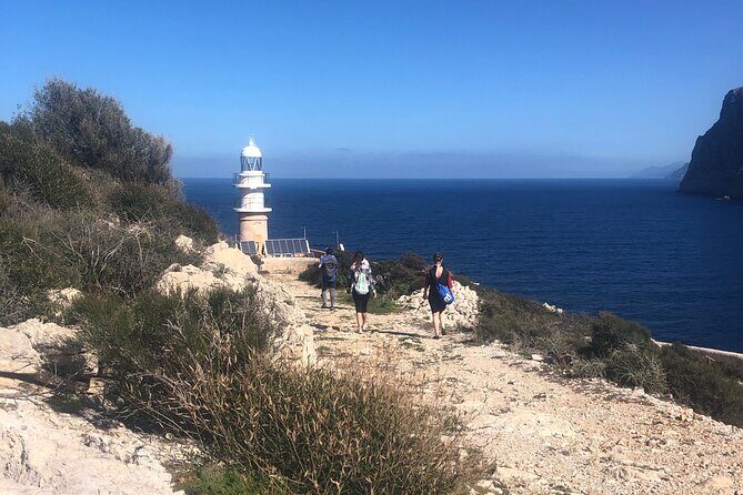 Explore the island of Dragonera by kayak and on foot - Why Choose This Kayaking Tour?