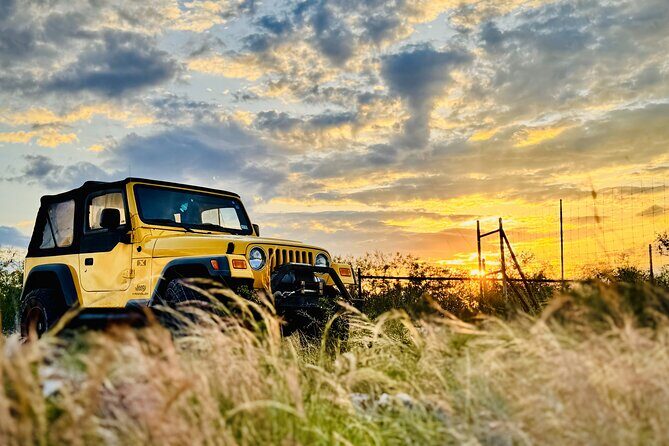 Explore the Medina River Valley on a Rugged Jeep with a Guide - Key Points