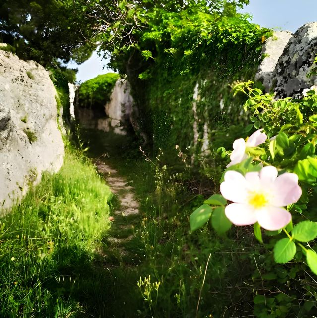 Explore the Murgia Materana UNESCO Park (Italian & Spanish) - Panoramic Views of the Gravina Canyon and Sassi Di Matera