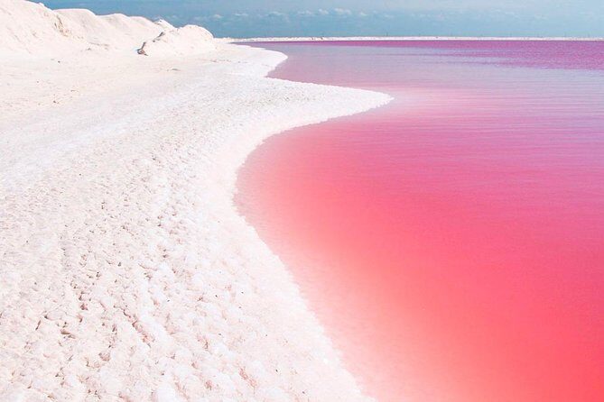 Explore the Nature: Las Coloradas & Rio Lagartos from Playa del Carmen - A Visual Feast: Las Coloradas and Rio Lagartos in Detail