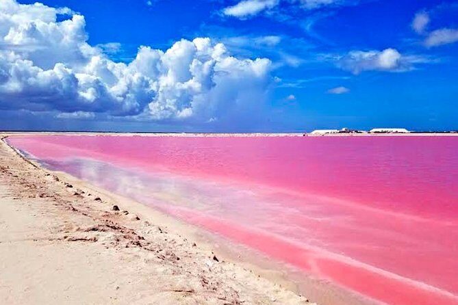 Explore the Nature: Las Coloradas & Rio Lagartos from Playa del Carmen - The Sum Up