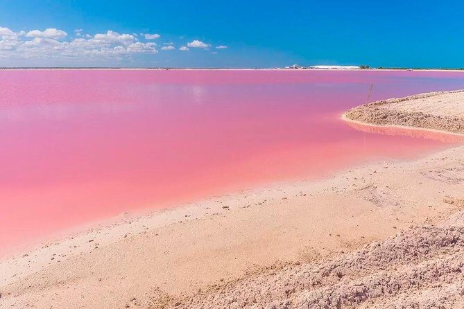 Explore the Nature: Las Coloradas & Rio Lagartos from Playa del Carmen - FAQ