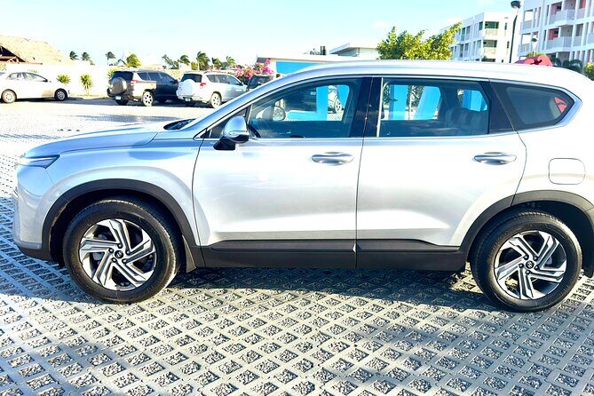 Explore the North & South of Bonaire on your own pase (Private) - Who Is This Tour Best For?