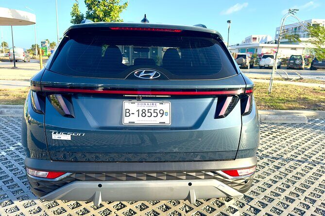 Explore the North & South of Bonaire on your own pase (Private) - Analyzing the Value