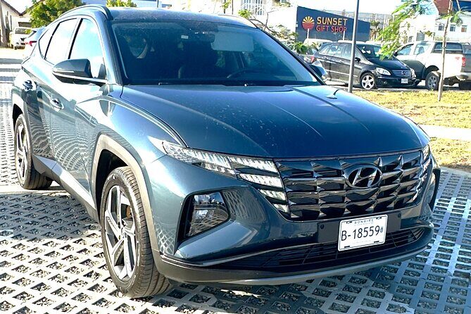 Explore the North & South of Bonaire on your own pase (Private) - The Experience: What Makes It Special