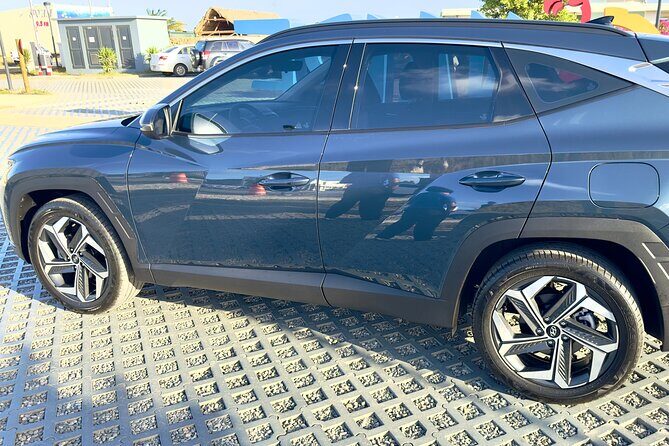 Explore the North & South of Bonaire on your own pase (Private) - Final Thoughts