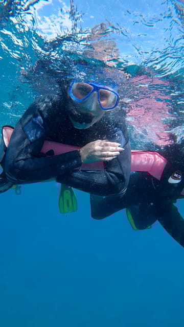 Explore the Ocean - Snorkeling for Beginners Los Cristianos - Snorkeling Equipment and Safety Briefing