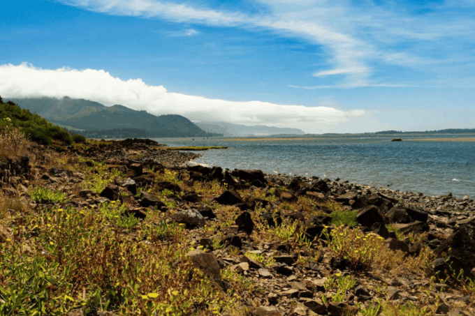 Explore the Oregon Coast: Scenic Driving Tour - Frequently Asked Questions