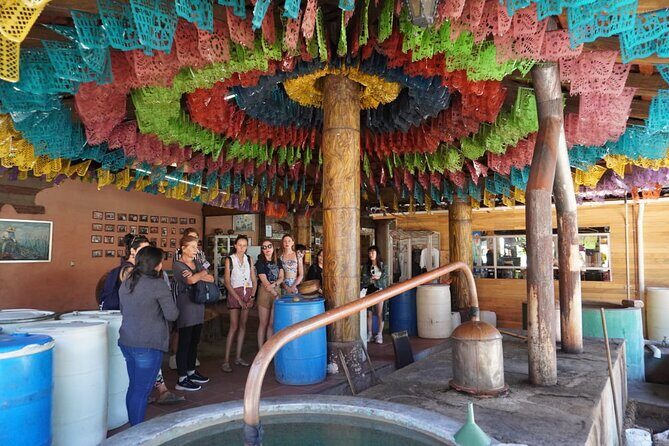 Explore the Prehispanic Roots of Oaxaca - Discovering Oaxaca’s Highlights in a Single Day