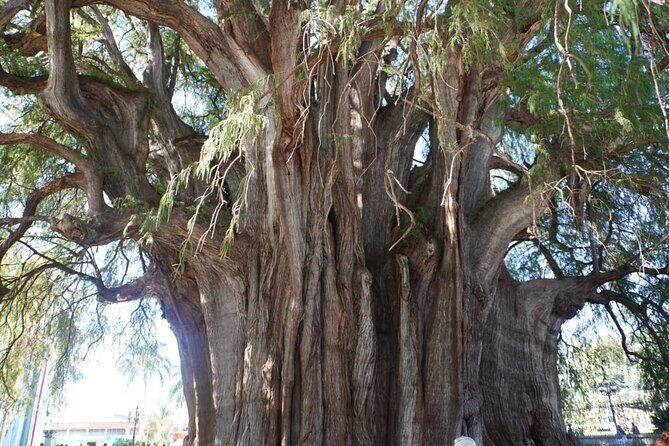 Explore the Prehispanic Roots of Oaxaca - FAQs