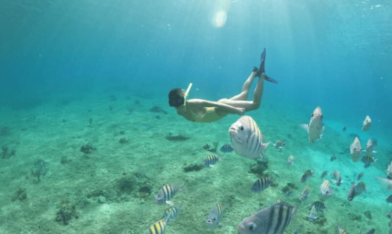 Explore the sea of cozumel in a transprent boat with drinks and snorkel. - FAQ