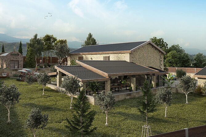 Explore the Secrets of Wine and Olives - The Experience of Transportation and Group Size