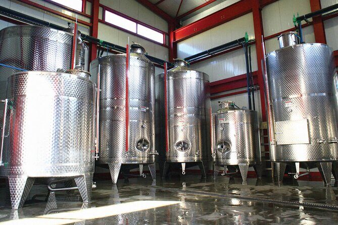 Explore the Secrets of Wine and Olives - Authenticity and Cultural Insight