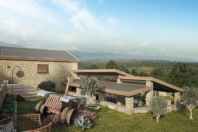 Explore the Secrets of Wine and Olives - Practical Tips for Travelers