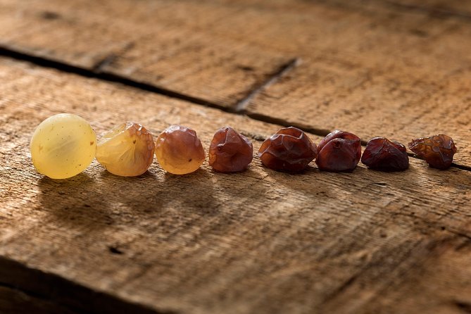 Explore the Sensational Wines of Tokaj - Frequently Asked Questions