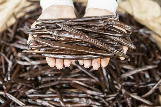 Explore the Vanilla Island Full-Day Tour to Tahaa from Bora Bora - Authentic Experiences and Authenticity