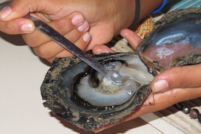 Explore the Vanilla Island Full-Day Tour to Tahaa from Bora Bora - The Sum Up: Who Will Find This Tour Most Valuable?