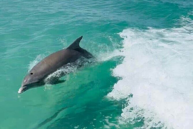 Explore the waters of Anna Maria Island on a private 3hr charter - Key Points