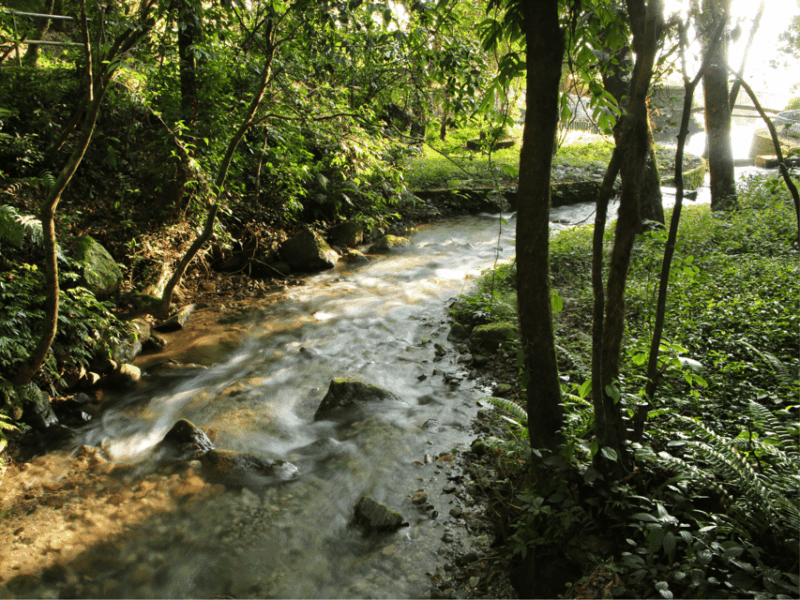 Explore the Wilderness of Shivapuri Hill: Day Hiking - Scenic Highlights Along the Route