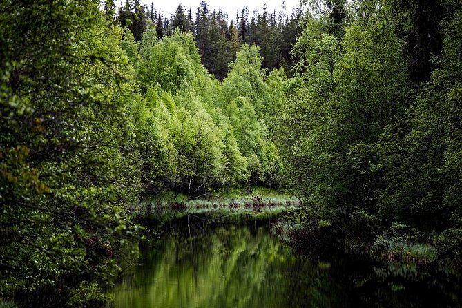 Explore the Wilderness (Summer & Autumn) - Exploring the Wilderness (Summer & Autumn): A Photography Tour in Rovaniemi