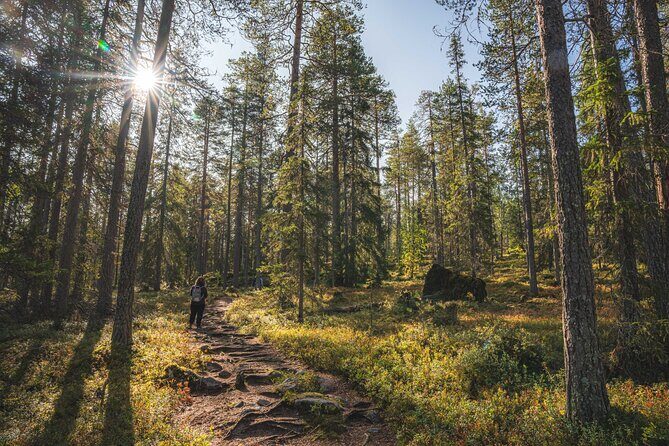 Explore the Wilderness (Summer & Autumn) - FAQ