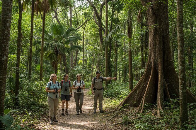 Explore the Wonders of New Caledonia from Noumea Cruise Terminal - What You Get and What You Don’t