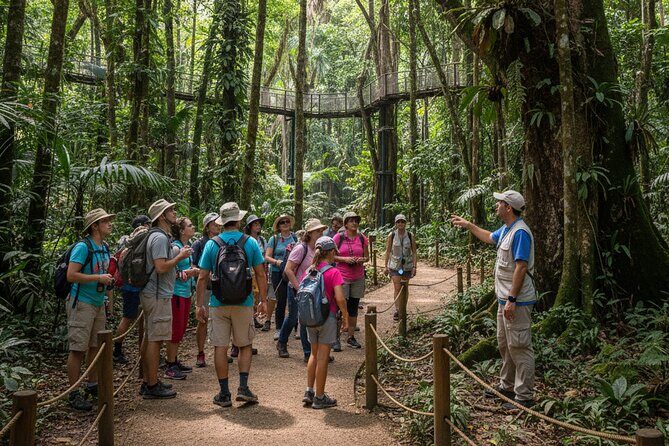 Explore the Wonders of New Caledonia from Noumea Cruise Terminal - Authentic Experiences and Traveler Insights