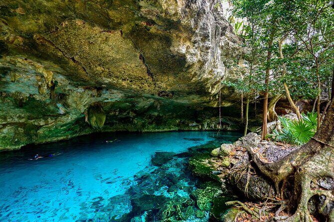 Explore Tulum and Dos Ojos Cenote with lunch and transportation - Who Should Consider This Tour?