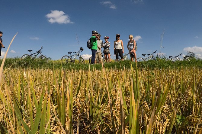 Explore Ubud With Electric Bike - Whats Included in the Tour