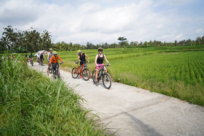 Explore Ubud With Electric Bike - Safety Measures and Protocols
