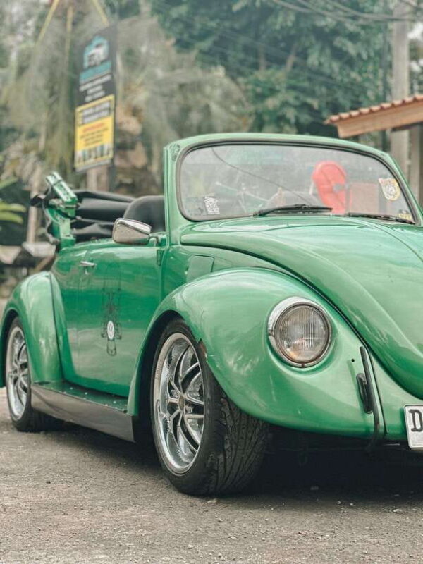 Explore Ubud with Volkswagen Beetle/Safari 181 - The Itinerary Breakdown: What to Expect