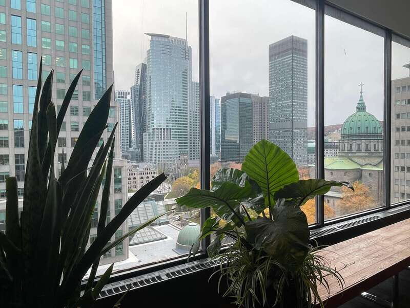 Explore Underground city & Downtown. Great tour to stay warm - Practical Details and Value