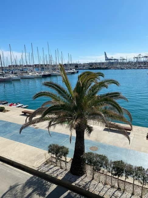 Explore Valencias Coast: Boat trip to Valencian Venice - Key Points