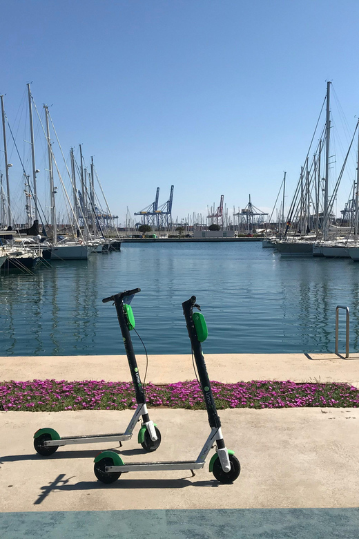 Explore Valencia'S Coast: Boat Trip to Valencian Venice - Booking and Payment Details