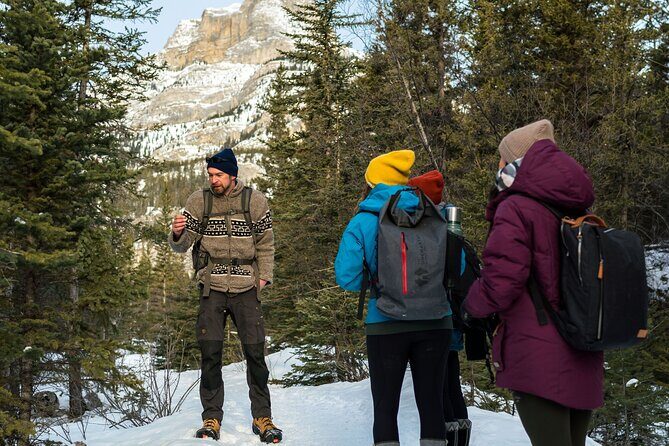 Explore Winter Wildlife Tracks Nature Walk in Canmore - The Practical Aspects: Price, Group Size, and Booking