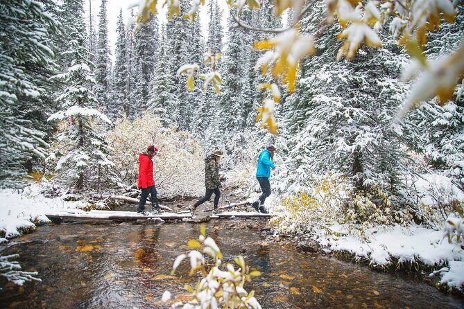 Explore Winter Wildlife Tracks Nature Walk in Canmore - The Sum Up