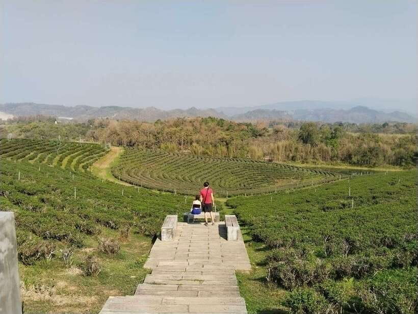 Explorer Border Road and Nature ( Tea and Coffee ) - Important Information