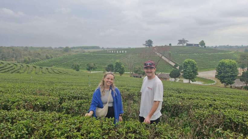 Explorer Border Road and Nature ( Tea and Coffee ) - Customer Reviews and Ratings