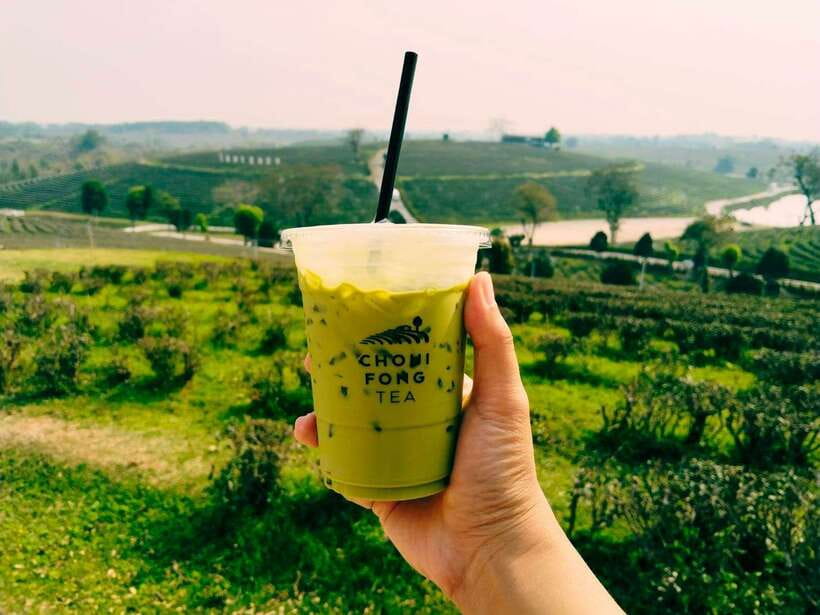Explorer Border Road and Nature ( Tea and Coffee ) - Visiting Mae Sai District and the Golden Triangle