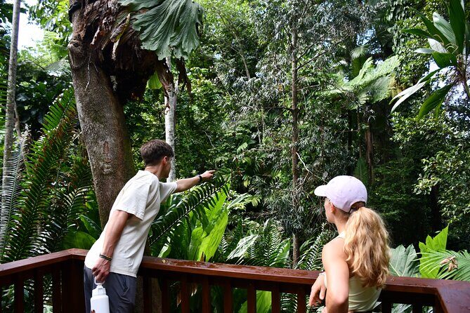 Explorer Tour by Cairns Waterfalls - Final Thoughts