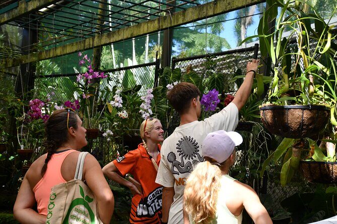 Explorer Tour by Cairns Waterfalls - FAQs