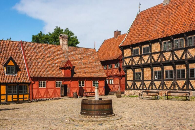Exploring Aarhus: Culture and Heritage Walking Tour - Key Points