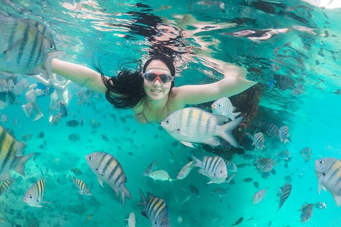 Exploring Angra Dos Reis and Ilha Grande in One Day - Booking and Cancellation Policies