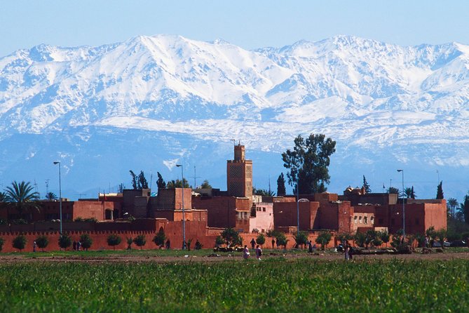 Exploring Marrakesh in Half-Day Sightseeing Tour - Tour Logistics and Accessibility
