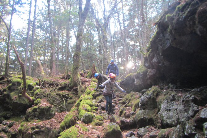 Exploring Mt Fuji Ice Cave and Sea of Trees Forest - Meeting and Pickup
