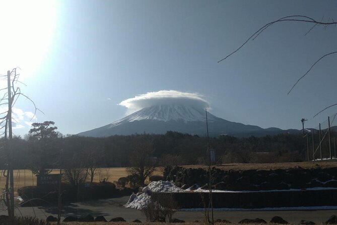 Exploring Mt Fuji Ice Cave and Sea of Trees Forest - What to Expect
