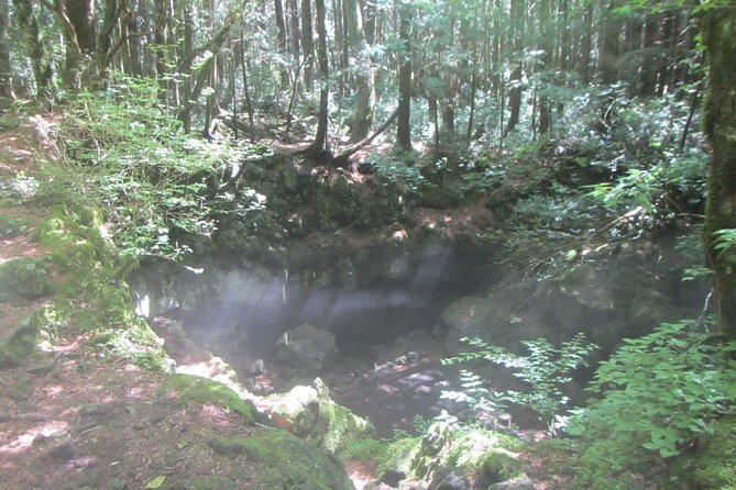 Exploring Mt Fuji Ice Cave and Sea of Trees Forest - Packing Essentials